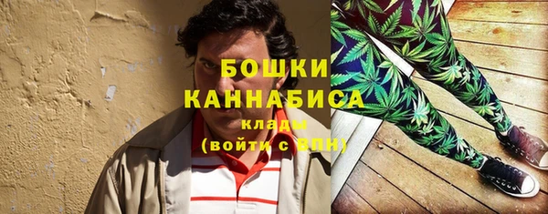 СК Касимов