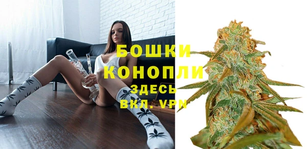 СК Касимов