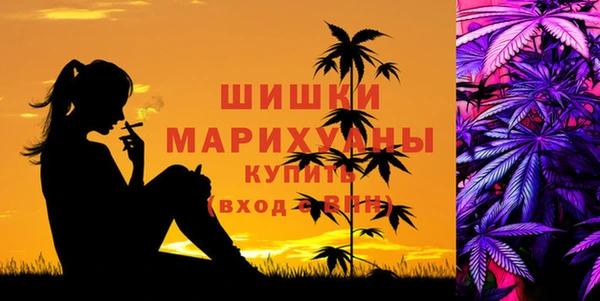 СК Касимов