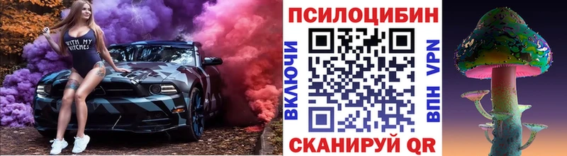 Псилоцибиновые грибы ЛСД  гидра сайт  Колпашево 